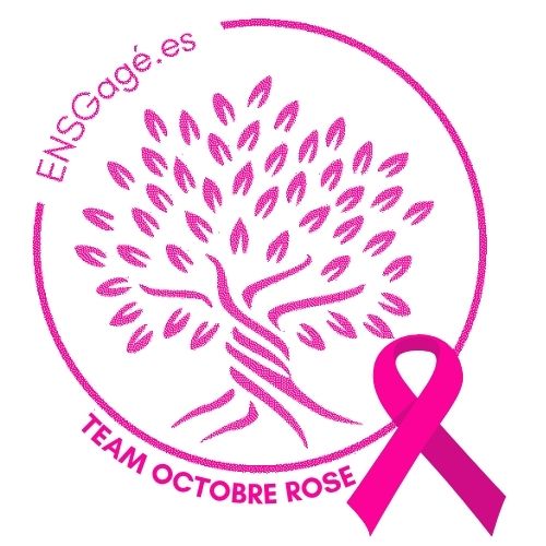 Logo ENSG Géomatique